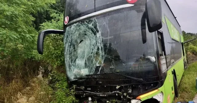 Almaniyada sərnişin avtobusu qəzaya uğrayıb Xeyli yaralı var