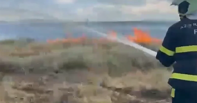 Qazaxda taxıl sahəsində yanğın Video
