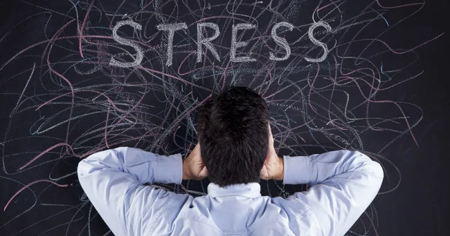 Stress hüceyrələri qocalda bilərmi?