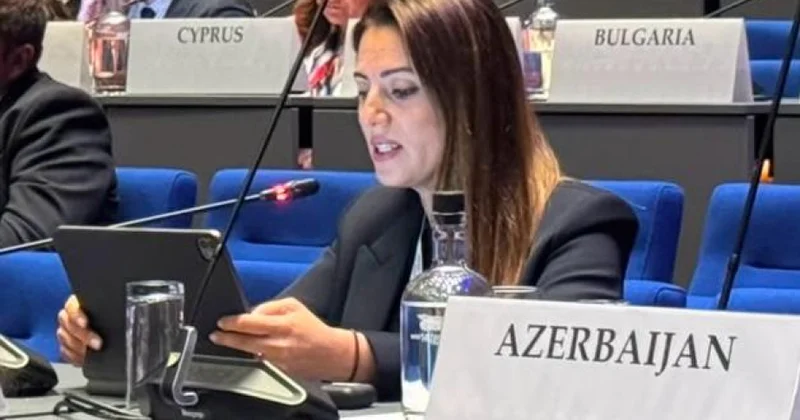 Deputat: Bu gün regionumuzun davamlı sülhə nail olmaq üçün real imkanı var