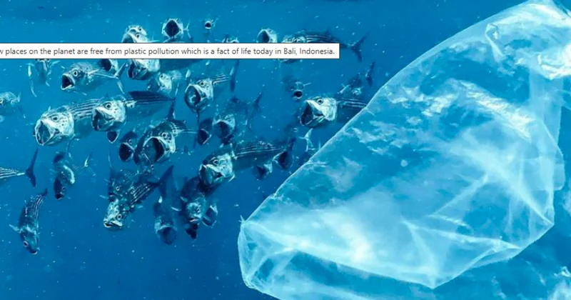 Cenevrədə plastiklərlə çirklənməyə qarşı qlobal saziş ətrafında müzakirələr davam edir