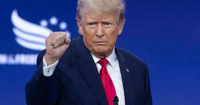 Трамп: Лидеры НАТО делают всё, что я пожелаю