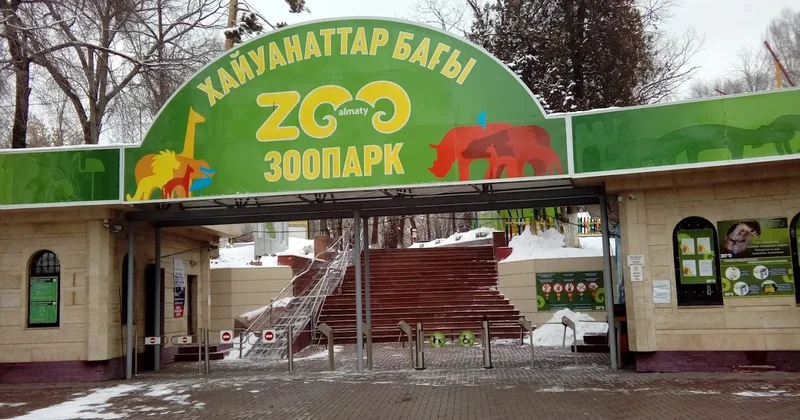Qazaxıstanda heyvanların qorunduğu dünya Almatı Zooparkından FOTOREPORTAJ