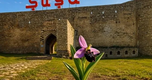 Yay Fest 2026 çərçivəsində Şuşa fləşmobu keçirilib