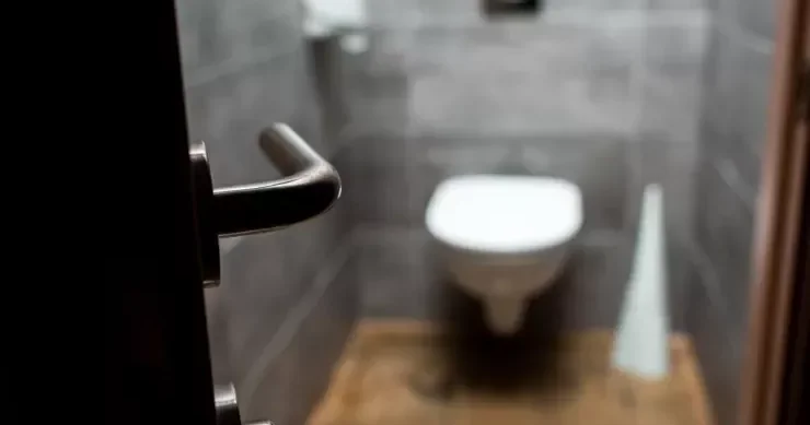 Ürək xəstəliyini aşkar edən ağıllı tualet oturacağı