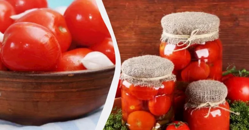 Qışda ilk yeyilən pomidor turşuları: 1 litrlik banka üçün 3 fərqli resept