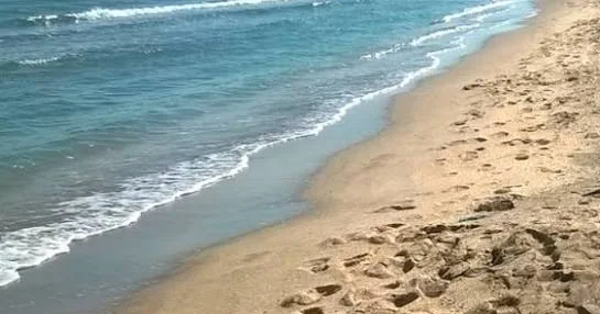 Sabah çimərliklərində gözlənilən hava şəraiti açıqlanıb