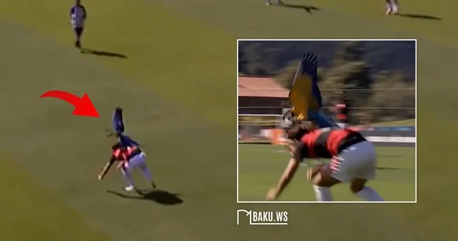 Tutuquşu oyun zamanı futbolçuya hücum etdi Braziliyada maraqlı hadisə