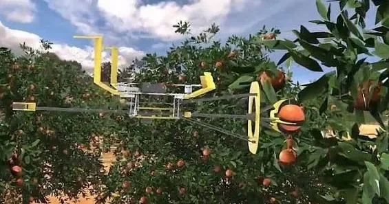 Giləmeyvə yığımı artıq dronlara həvalə OLUR