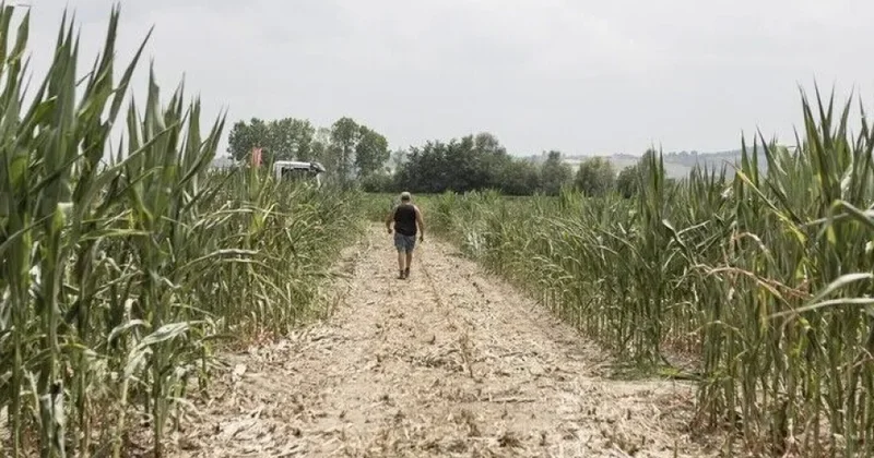 BMT: El Nino hava hadisəsi 2027 ci ilin sonunadək daha 49 milyondan çox insanın aclıq çəkməsinə səbəb ola bilər