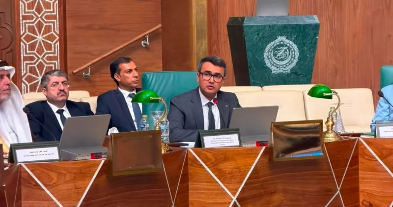Misirdə Azərbaycanın təcrübəsindən danışıldı