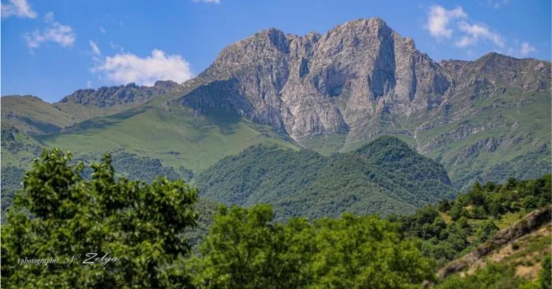 İranlı ekspertdən qəribə yanaşma