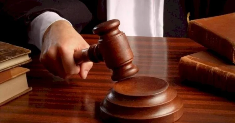 Astarada təbiətə ziyan vurulması ilə bağlı CİNAYƏT İŞİ başlandı