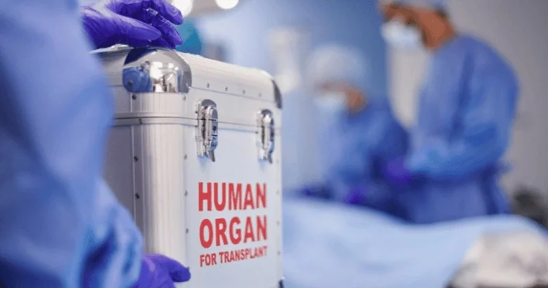 Ölülər həyat xilas edə bilər orqan transplantasiyası: qorxu, tərəddüd və inanclar ARAŞDIRMA