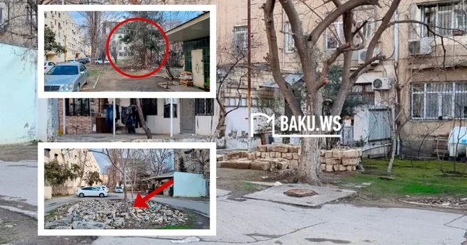 Binaların qarşısı acınacaqlı VƏZİYYƏTDƏDİR İstirahət üçün heç bir ŞƏRAİT YOXDUR