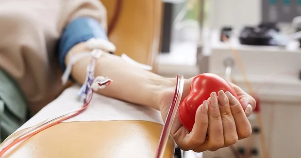 Kofeinin donor qanına ZƏRƏRİ