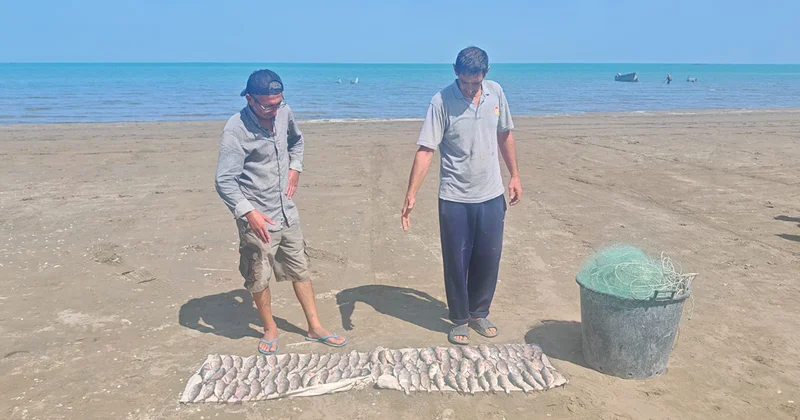 Qanunsuz balıq ovu hallarını aşkarlamaq üçün reydlər davam edir Fotolar