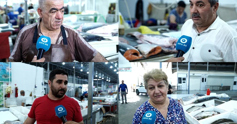 Balığın mövsümü gəldi, bəs özü? Bazardan REPORTAJ