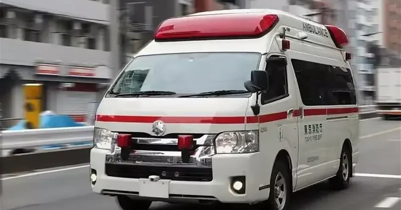 В Шри Ланке автобус упал в пропасть: не менее 15 погибших Видео