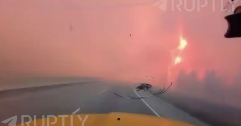 Канадский водитель проехал через пылающий лес ВИДЕО