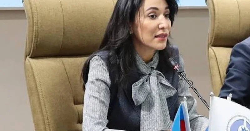Сабина Алиева обратилась к Сирануш Саакян