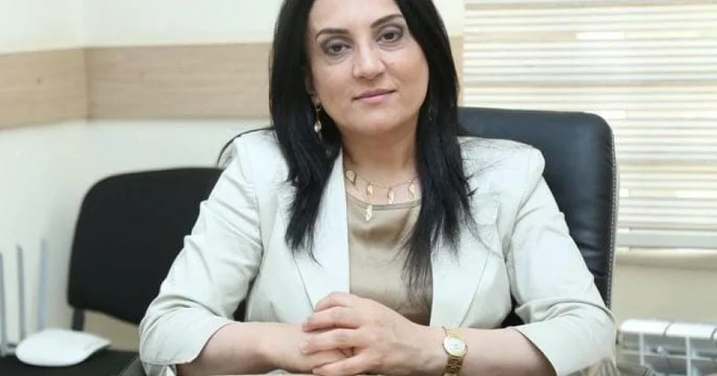 O yazılar tarixi mənzərəni zədələyir RƏY