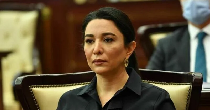 Ermənistanlı hüquq müdafiəçisinin səsləndirdiyi əsassız iddialara Ombudsman münasibət bildirdi