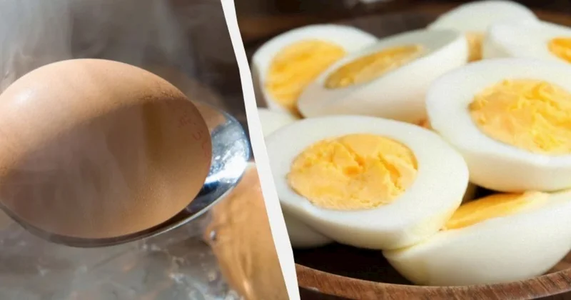 İki yumurtadan daha çox protein Bitki mənşəli 5 məhsul