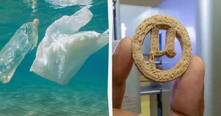 Plastik butulkalardan peçenye hazırladılar Alimlərin yeni üsulu mübahisə yaratdı