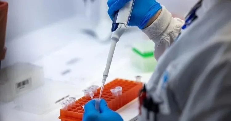 Yarmarka və sərgilər dayandırıldı Virus həyəcanı gündəmdə