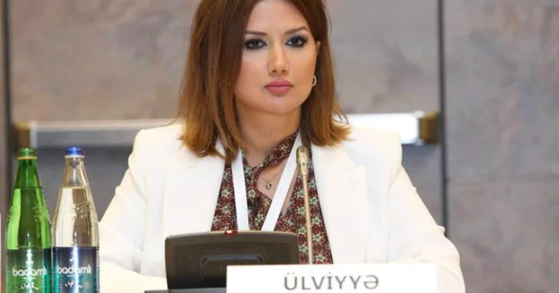Siyasi şərhçi: Mədəni irsin qorunması üçün ictimai məsuliyyət vacibdir