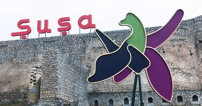 “Şuşa zəfərindən sonra türk dünyasının birliyi məsələsi daha aydın dərk edildi”