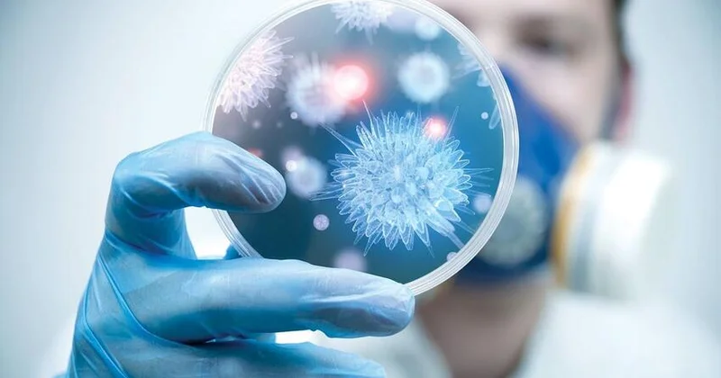 Çində yayılan virus narahatlıq yaratdı: 1 həftədə 3 min yoluxma