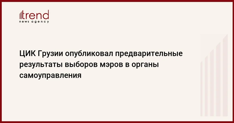 ЦИК Грузии опубликовал предварительные результаты выборов мэров в органы самоуправления
