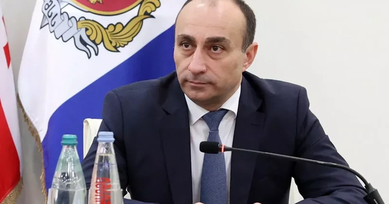 Глава МВД Грузии высоко оценил действия полиции во время акции в Тбилиси