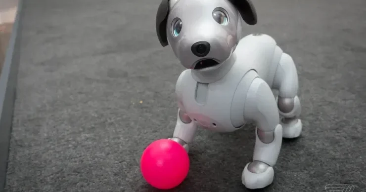 Bu robot it ev heyvanı kimi tanındı