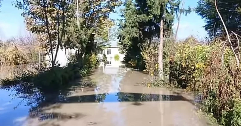 Село ушло под воду. Что происходит в Гудулу? Наши проблемы