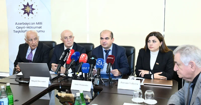 Koalisiya üzvü: İşğal dövründə Qarabağ və Şərqi Zəngəzurun ətraf mühitinə ciddi ziyan dəyib