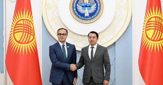 Ramil Həsən Qırğızıstan spikeri ilə TÜRKPA nın 15 ci plenar iclasına hazırlığı müzakirə edib