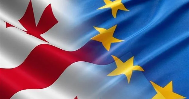 Власти Грузии обвинили ЕС в попытке госпереворота и революции