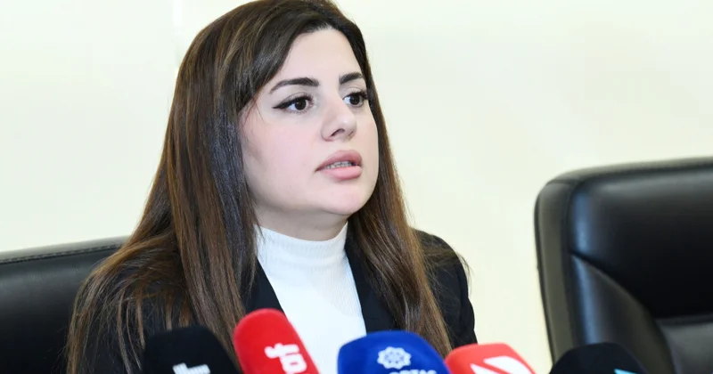 Deputat: Ermənistan işğal dövründə Azərbaycanın 7 filiz və 39 qeyri filiz yatağında qanunsuz istismar aparıb