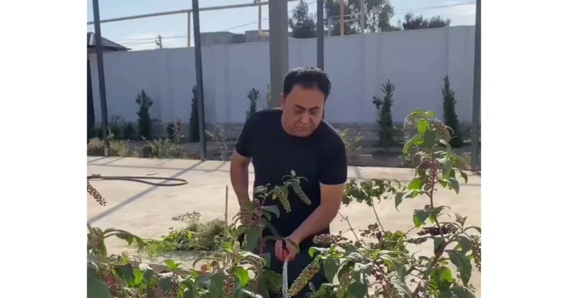 Elgiz bağ evini nümayiş etdirdi (Video)