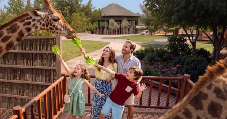 Dubay Safari Park yeni mövsümə hazırlaşır
