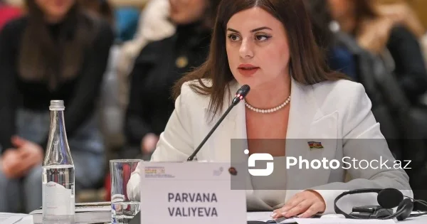Депутат Милли Меджлиса рассказала о незаконной добыче полезных ископаемых Арменией