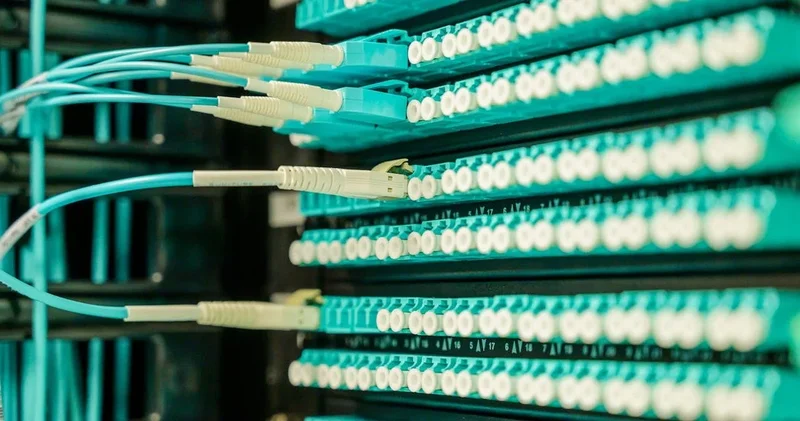 Ölü internet nəzəriyyəsi reallaşır: alimlər xəbərdarlıq edir