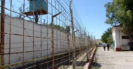 Bakıda heyvanla rəhmsiz rəftar edən şəxs həbs edilib
