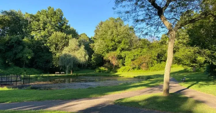 Məktəblilər parkda insan qalıqları AŞKARLADI