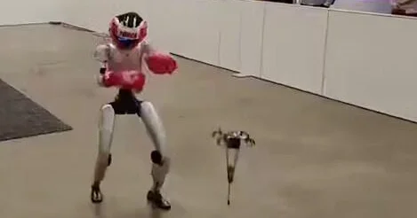 Unitree G1 пнул прыгающего дрона Hopcopter ВИДЕО