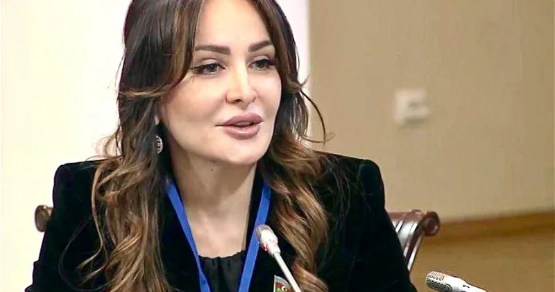 Güc amili bütün təxribatların qarşısını əvvəlcədən almaq məqsədi daşıyır