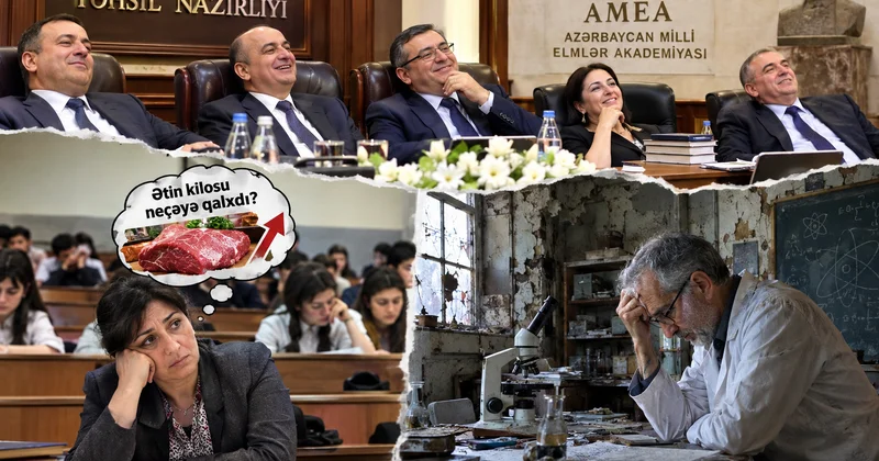 “Zəif maliyyələşən elm və təhsil rəqabətədavamlı ola bilməz...” EKSPERT